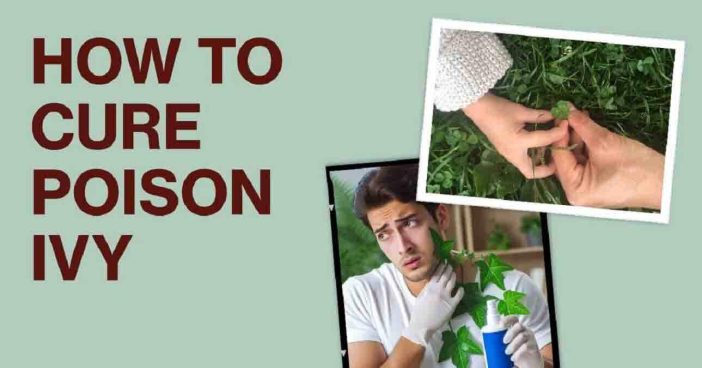 How To Cure Poison Ivy