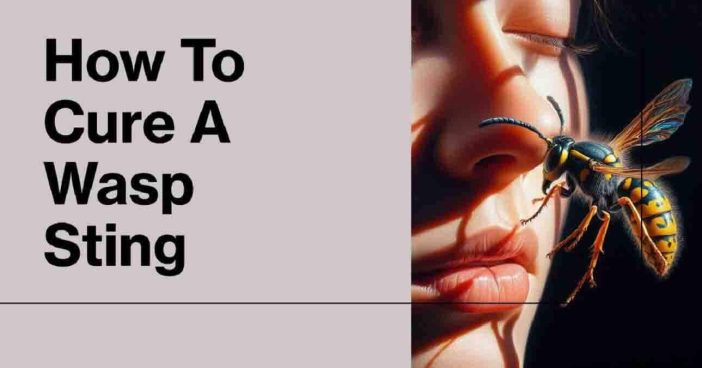 How To Cure A Wasp Sting