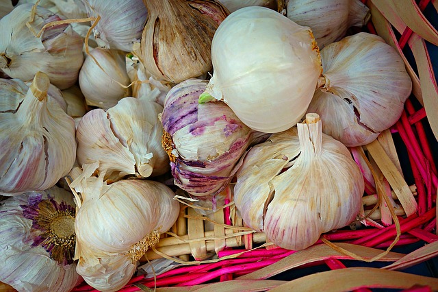 Kyolic Garlic Benefits