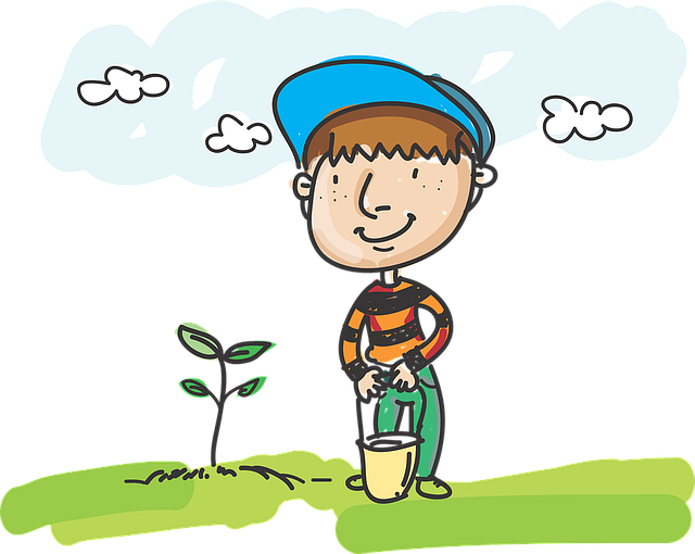 Top 6 Reasons Why Planting Trees Is Good For The Environment And Human