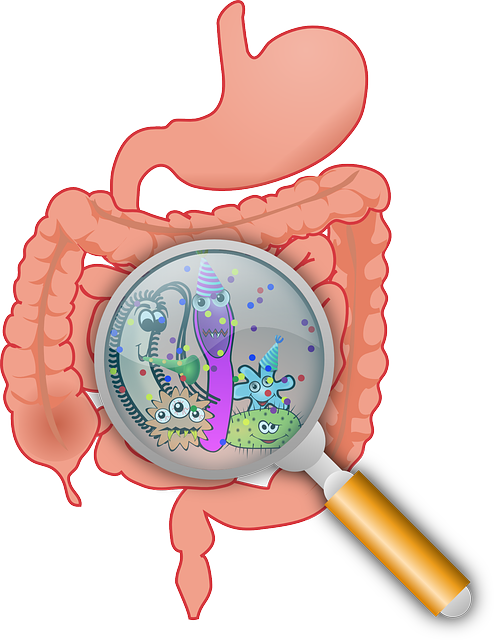 Symptoms of Irritable Bowel Syndrome - Changes in bowel movement