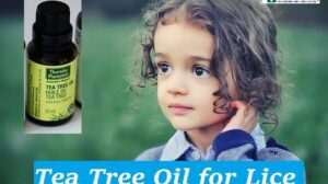 Tea Tree Oil for Lice: The Spread and How to Use It