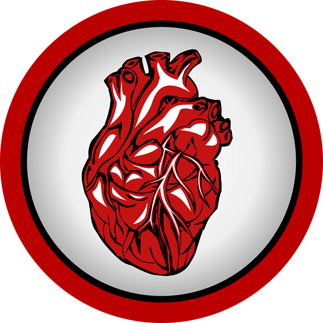 Heart Palpitations After Eating The Causes And Tips For Overcoming It Heart palpitations after eating the causes and tips for overcoming it