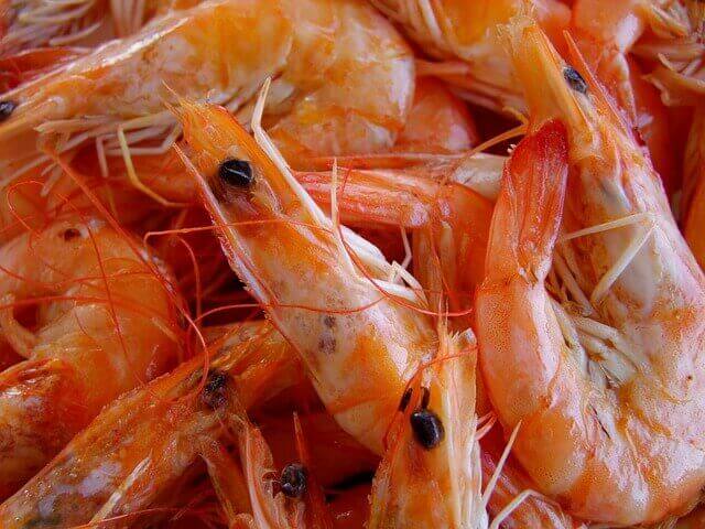 Shrimp Allergy Symptoms