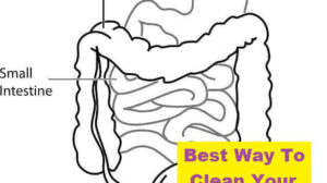 Best Way To Clean Your Bowels