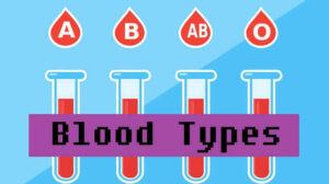 Blood Types: 4 Classifications, and Characteristics