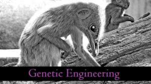 Genetic Engineering: Benefits, How It Works, 3 Examples, Facts, and Positive & Negative Impacts