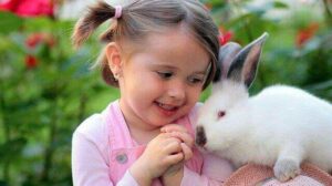 Rabbit Fever: 4 Types, Symptoms, Causes, Diagnosis, Treatment, Complication, and Prevention