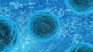 What Are Cells: Definition, Hystory, and 2 Types