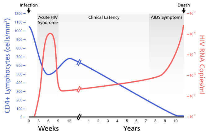 What Is The Definition Of Viral Load Hiv