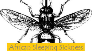 African Sleeping Sickness: 2 Types, Symptoms, Causes, Distribution, and Diagnosis