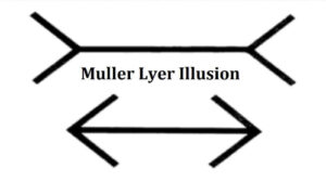 Muller Lyer Illusion Definition and Application in Real Life
