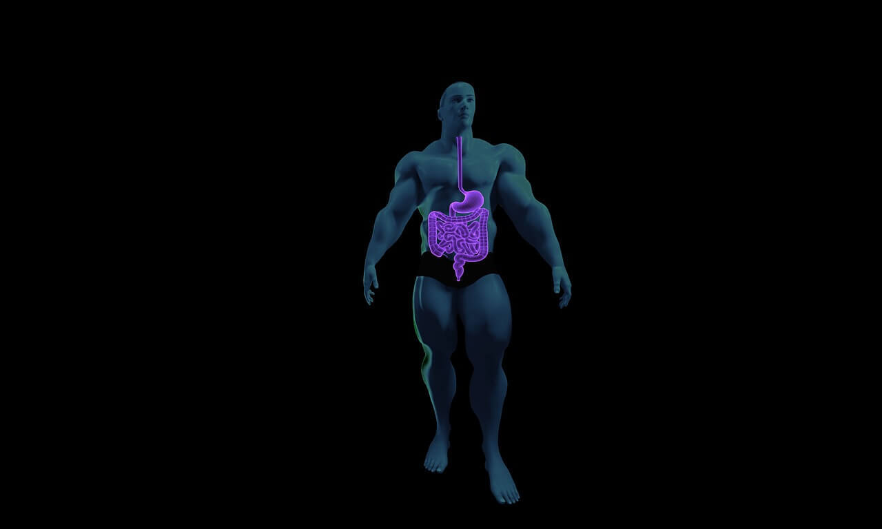 11 Ways – How To Get Good Gut Health