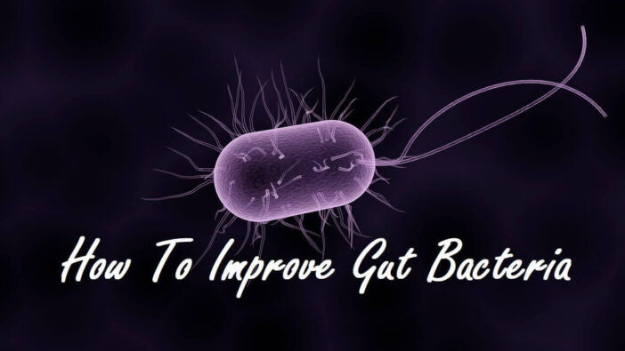How To Improve Gut Bacteria