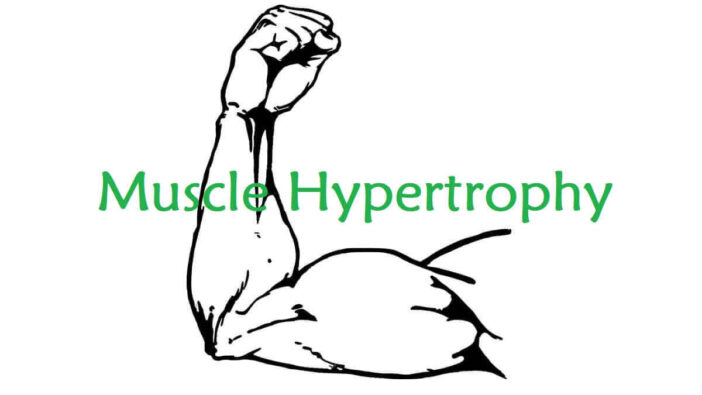 Muscle Hypertrophy Definition
