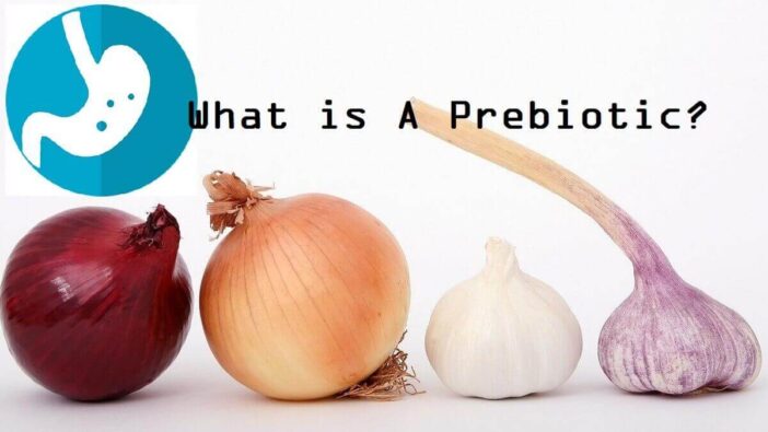 What is A Prebiotic