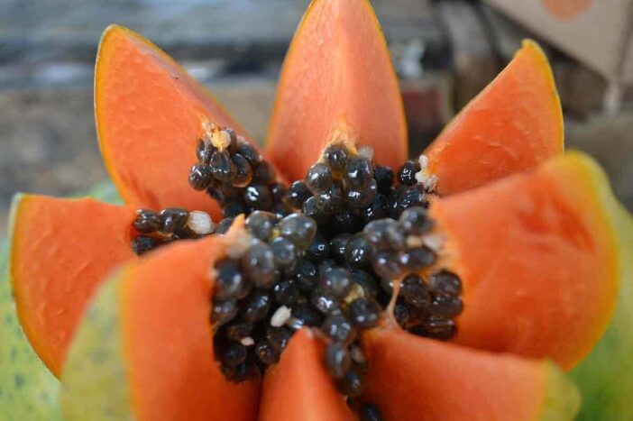 Papaya Fruit Health Benefits