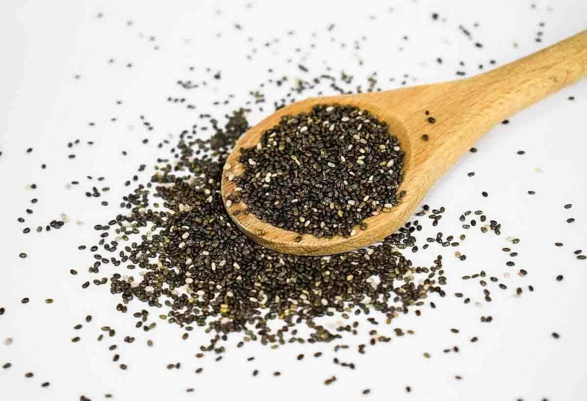 7+ Vegan Omega 3 Sources, Alternative for Veganism