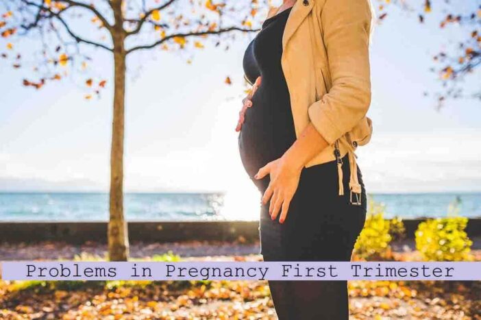 Problems in Pregnancy First Trimester