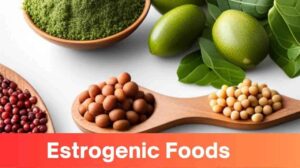 Estrogenic Foods