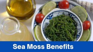 Sea Moss Benefits Unveiled: Elevate Your Health with Nature’s Treasure