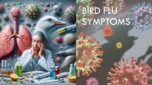 Bird Flu Symptoms