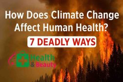 How Does Climate Change Affect Human Health: 7 Deadly Ways