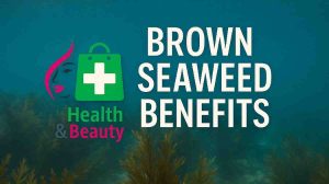 Brown Seaweed Benefits